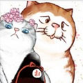 喵星三脚猫 喵星三脚猫