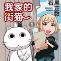 我家的街猫 我家的街猫