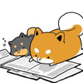 桶柴 桶柴