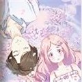 花想容 花想容